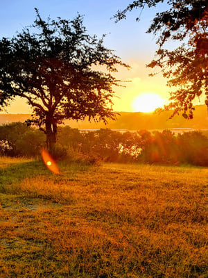 Austin Hill Country